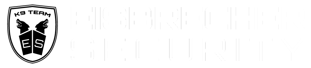 Eisbrecher Security Group